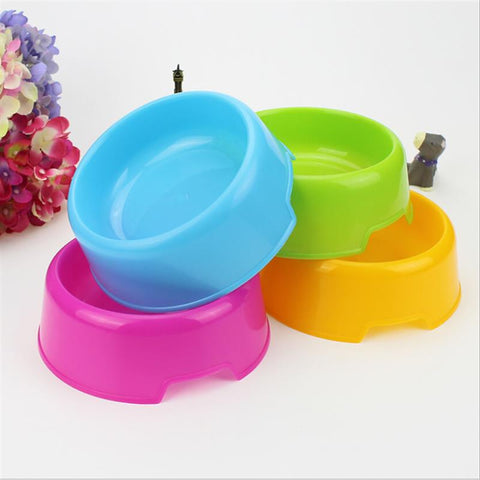 Colorful pet bowl