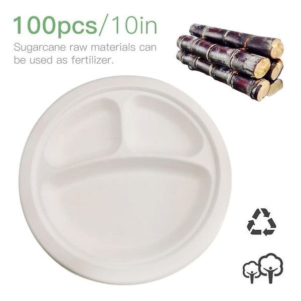 Disposable Plates, Compostable Natural Sugar Cane Fibers | 100 Pieces | 10 Inches