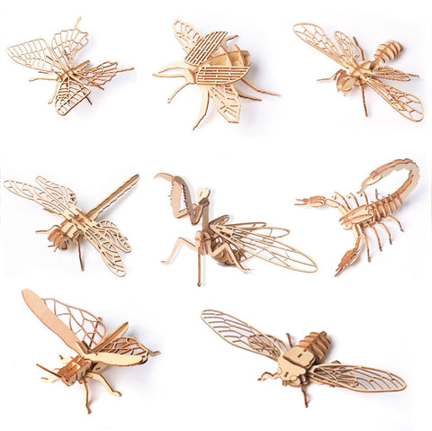 Wooden insects