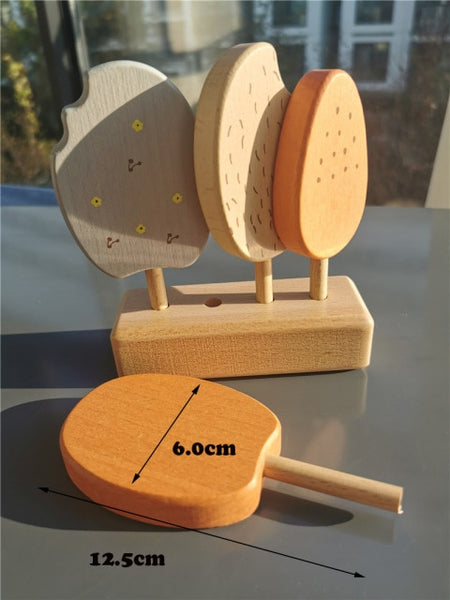 Wooden Montessori Birthday Toy