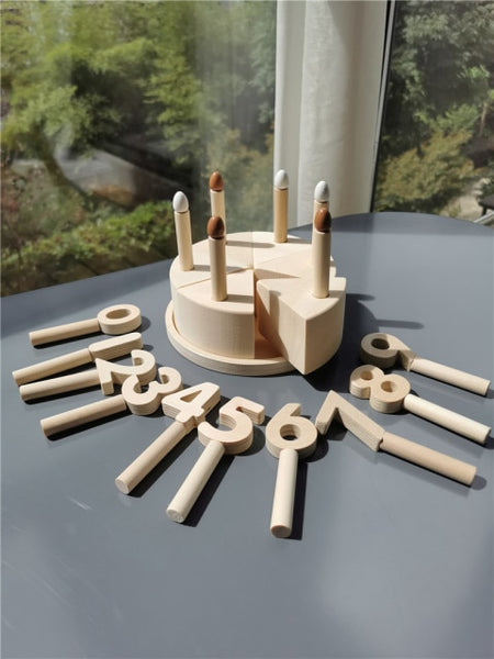 Wooden Montessori Birthday Toy